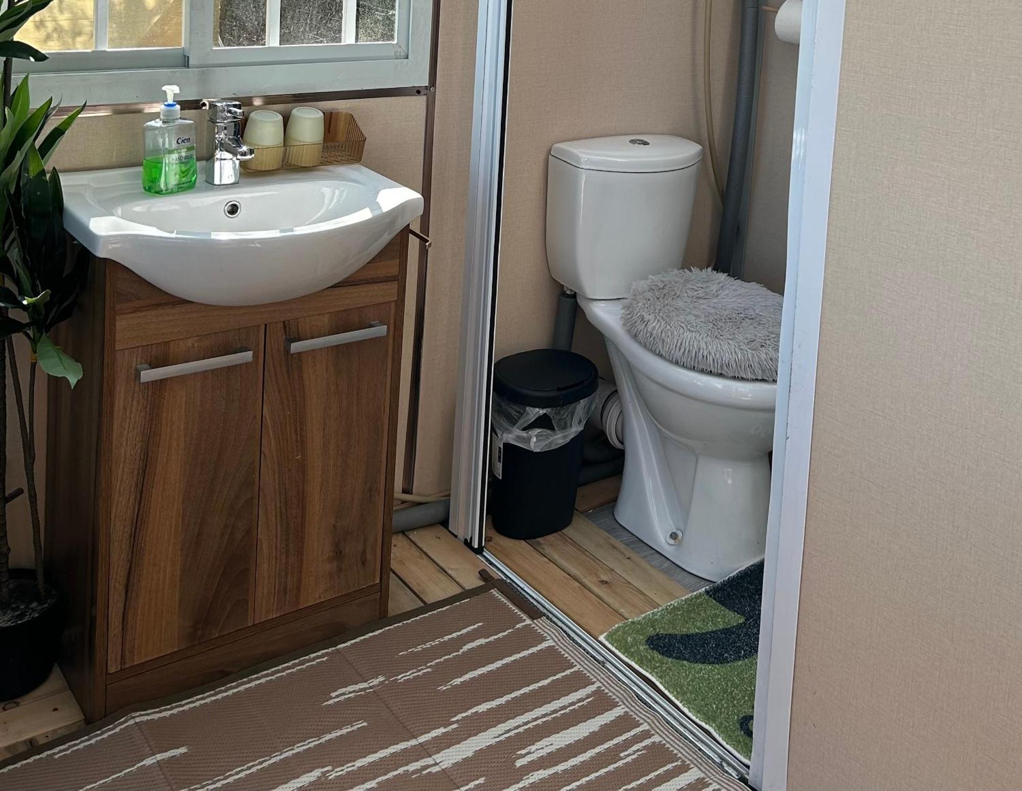 Sky Gazer Cabin In The Woods 都柏林 外观 照片